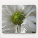 Search for chrysanthemum mousepads Floral