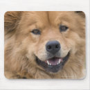 Search for alertness mousepads Looking at camera