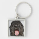Search for studio shot key rings Vertical