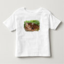 Search for white tail deer tshirts Animal