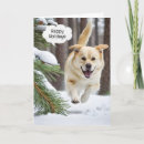 Search for labrador retriever christmas cards Pet