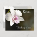 Search for white orchid postcards Flowers