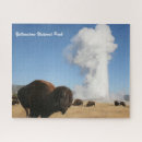 Search for yellowstone puzzles Geyser