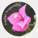 Search for pollinator stickers Garden
