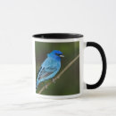 Search for jayne mugs Bird