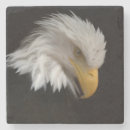 Search for eagle coasters Portrait