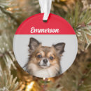 Search for long haired chihuahua christmas tree decorations Pets