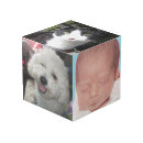 Search for pets baby kids Photos