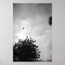 Search for black and white tree silhouette art Bird