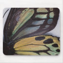Search for wings butterfly mousepads Insects