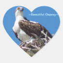 Search for osprey stickers Bird of prey