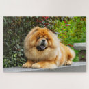 Search for chow chow dog puzzles Puppy