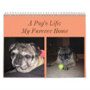 Search for pug calendars Rescue