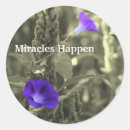 Search for miracles stickers Nature