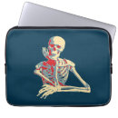 Search for anatomy cases Skeleton