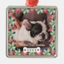 Search for dog bone christmas tree decorations Keepsake