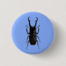 Search for beetles badges Nature