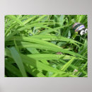 Search for dew Photography