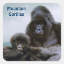Search for mountain gorilla stickers Primates