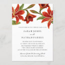 Search for amaryllis Garden