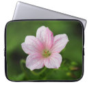 Search for geranium cases Nature