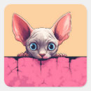 Search for sphynx cat stickers Kitten