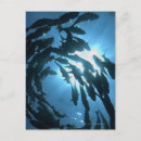 Search for conformation postcards Togetherness