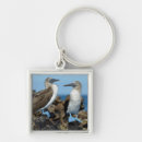 Search for foot key rings Animal
