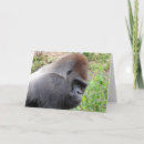 Search for lowland cards Gorilla