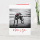Search for collared cards Dog