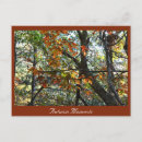 Search for seasons greetings postcards Photography