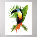 Search for tropical toucan posters Jungle