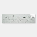 Search for flight bumper stickers Bird