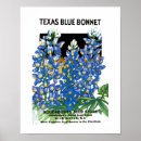 Search for vintage seed packets posters Advertising