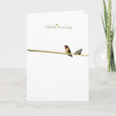 Search for hummingbird christmas cards Nature