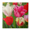 Search for detail tiles Bright