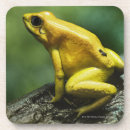 Search for dart coasters Animal