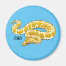 Search for python magnets Snake