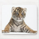 Search for dangerous mousepads Close up
