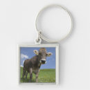 Search for activism key rings Nature