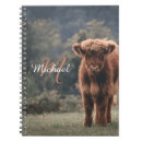 Search for cow notebooks Calf