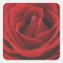 Search for natural beauty stickers Nobody