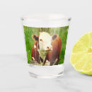 Search for cuddly barware Cute