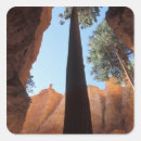 Search for bryce canyon national park stickers Landscape