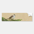 Search for wild birds bumper stickers Nature