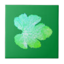 Search for green texture tiles Ceramic