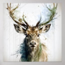 Search for stag posters Portrait