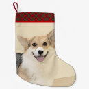Search for pembroke welsh corgi christmas stockings Red