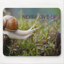 Search for never give up mousepads Quote