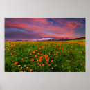 Search for snowcapped posters Flower